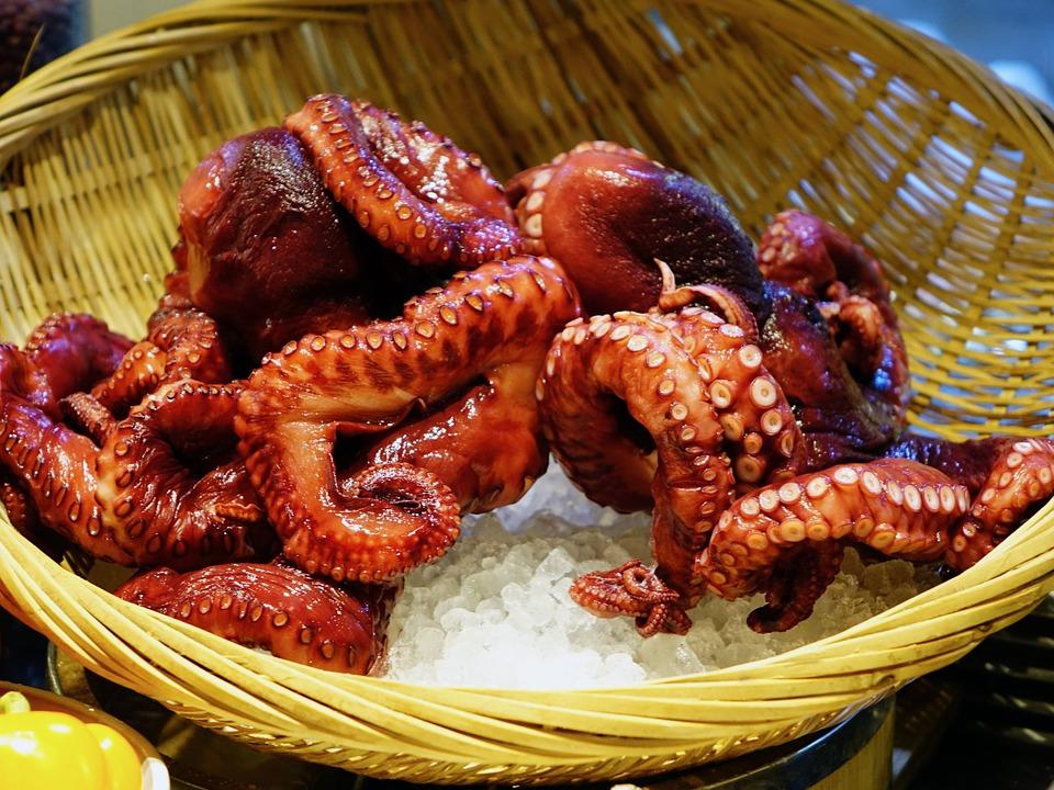 Gastronomia grega_frutos do mar_Viajando Bem