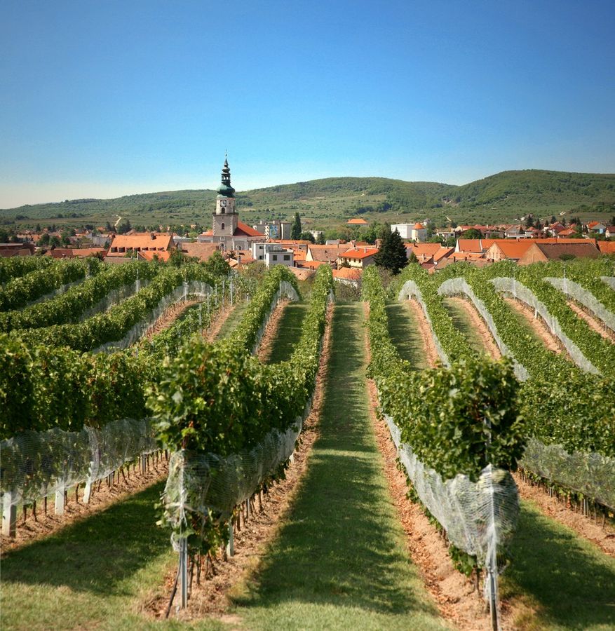 Os vinhos da Eslováquia