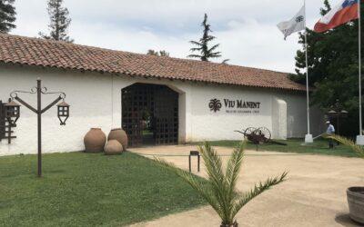 Tour e almoço na vinícola Viu Manent, no Vale de Colchágua – Chile