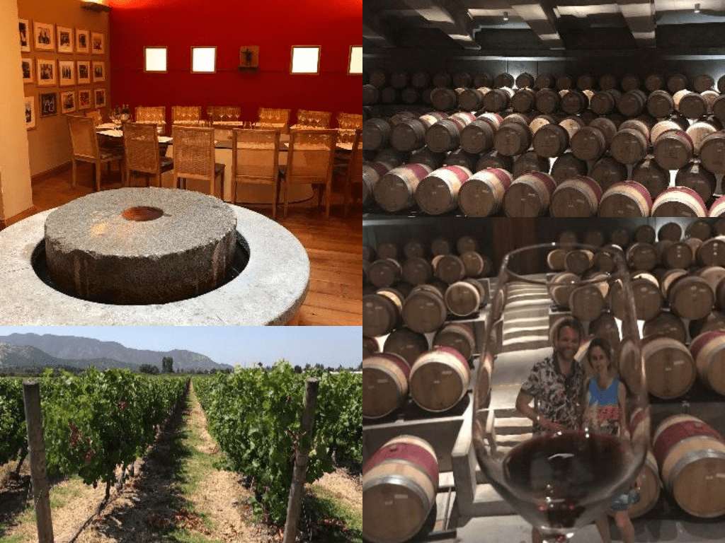 Tour e almoço na vinícola Viñas Montes