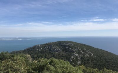 Viagem por Setúbal – saiba como foi nosso dia pelo Sul de Portugal