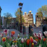Guia de turismo em Amsterdã que fala português - Conheça o trabalho da nossa parceira Vitória